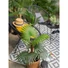 Kép 6/8 - EUROPALMS Fan Palm, artificial plant, 88cm