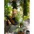 Kép 7/8 - EUROPALMS Fan Palm, artificial plant, 88cm