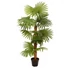 Kép 1/8 - EUROPALMS Fan Palm, artificial plant, 130cm