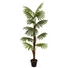 Kép 1/8 - EUROPALMS Fan Palm, artificial plant, 155cm