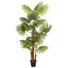 Kép 1/8 - EUROPALMS Fan Palm, artificial plant, 165cm