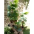 Kép 8/8 - EUROPALMS Fan Palm, artificial plant, 165cm