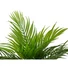 Kép 3/6 - EUROPALMS Areca Palm, artificial plant, 46 cm