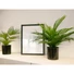 Kép 6/6 - EUROPALMS Areca Palm, artificial plant, 46 cm