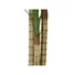 Kép 3/8 - EUROPALMS Areca Palm, 3 trunks, artificial plant, 150cm