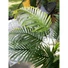 Kép 6/8 - EUROPALMS Areca Palm, 3 trunks, artificial plant, 150cm