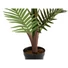 Kép 4/4 - EUROPALMS Areca Palm, artificial plant, 150cm