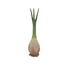 Kép 3/8 - EUROPALMS Phoenix Palm, artificial plant, 240cm