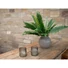 Kép 4/6 - EUROPALMS Boston Fern, artificial plant,53cm