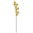 Kép 1/8 - EUROPALMS Cymbidium branch, artificial, green, 90cm