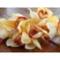 Kép 3/8 - EUROPALMS Cymbidium branch, artificial, yellow, 90cm