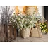 Kép 6/6 - EUROPALMS Cherry spray, artificial, white, 60cm