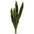 Kép 1/5 - EUROPALMS Snake Tongue (EVA), artificial, green-yellow, 60cm
