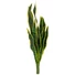 Kép 2/5 - EUROPALMS Snake Tongue (EVA), artificial, green-yellow, 60cm