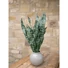 Kép 5/7 - EUROPALMS Snake Tongue (EVA), artificial, green, 60cm