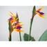 Kép 3/8 - EUROPALMS Bird-of-paradise Flower, artificial plant, 90cm