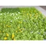Kép 4/6 - EUROPALMS Grass mat, artificial, green-yellow, 25x25cm