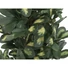 Kép 2/8 - EUROPALMS Schefflera, artificial,120cm
