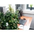Kép 4/8 - EUROPALMS Schefflera, artificial,120cm