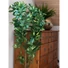 Kép 8/8 - EUROPALMS Schefflera, artificial,120cm