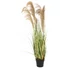 Kép 1/8 - EUROPALMS Chinese silvergrass, artificial, 140cm