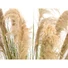 Kép 3/8 - EUROPALMS Chinese silvergrass, artificial, 140cm