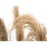 Kép 4/8 - EUROPALMS Chinese silvergrass, artificial, 140cm