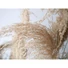 Kép 5/8 - EUROPALMS Chinese silvergrass, artificial, 140cm