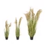 Kép 6/8 - EUROPALMS Chinese silvergrass, artificial, 140cm