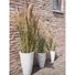 Kép 7/8 - EUROPALMS Chinese silvergrass, artificial, 140cm