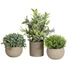 Kép 1/8 - EUROPALMS Table plants in pots, artificial plant, Set of 3