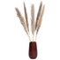 Kép 4/8 - JOLIPA Pampas Grass Branch, dried, natural, 137cm
