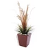 Kép 3/4 - EUROPALMS LEICHTSIN BASIC-50, shiny-red