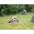 Kép 5/6 - EUROPALMS Artificial Rock, Sandstone