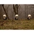 Kép 5/5 - EUROPALMS Halloween Skeleton Head with Stake, Set of 3, 29cm