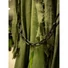 Kép 6/7 - EUROPALMS Halloween Figure Skeleton with green cape, animated, 170cm