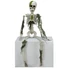 Kép 2/7 - EUROPALMS Halloween Skelteton with Moss, 40cm
