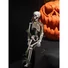 Kép 7/7 - EUROPALMS Halloween Skelteton with Moss, 40cm