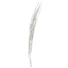 Kép 2/3 - EUROPALMS Galho Buriti white 150cm
