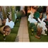 Kép 3/4 - EUROPALMS Silhouette Bunny, white, 56cm