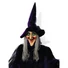 Kép 2/4 - EUROPALMS Halloween Figure Witch, animated 175cm
