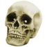 Kép 2/2 - EUROPALMS Halloween Skull 21x15x15cm LED