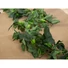 Kép 4/5 - EUROPALMS Hop Garland, artificial, 170cm