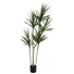 Kép 1/4 - EUROPALMS Dracaena, artificial plant, green, 170cm