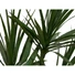 Kép 2/4 - EUROPALMS Dracaena, artificial plant, green, 170cm