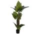 Kép 2/5 - EUROPALMS Taro Alocasia, artificial plant, 140cm