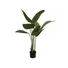 Kép 1/5 - EUROPALMS Strelitzia, artificial plant, 110cm