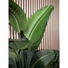Kép 4/5 - EUROPALMS Strelitzia, artificial plant, 110cm