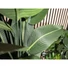 Kép 5/5 - EUROPALMS Strelitzia, artificial plant, 110cm