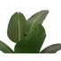 Kép 3/7 - EUROPALMS Strelitzia, artificial plant, 170cm